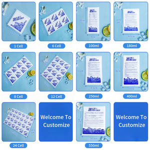 Bolsa de enfriamiento de <span class=keywords><strong>gel</strong></span> frío con aislamiento reutilizable, inyección de agua, paquete de hielo liofilizado para alimentos, envío fresco, transporte de entrega - Product Image 4