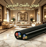 Cable Flexible Multifilar con Aislamiento de PVC H05VV-F NYMHY, Estándar EN, Aprobado por CE, para Instalaciones Eléctricas en Interiores del Golfo