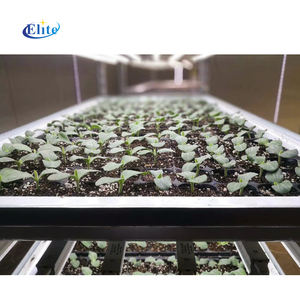 温室フラワー植物保育園トロリーカートLEDライト付き - Product Image 3