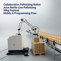 Robot de Paletización Móvil sin Programación, Robot Colaborativo para Apilado de Sacos y Cajas