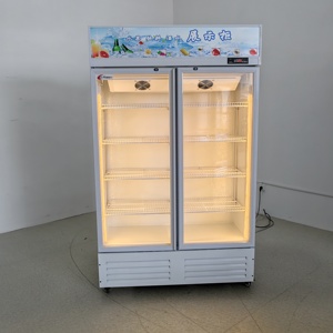 Frigorifero Commerciale a Due Porte con Temperatura Singola, Controllo Meccanico, Porta in Vetro, LED, Ripiani Regolabili, Refrigeratore per Bevande - Product Image 4