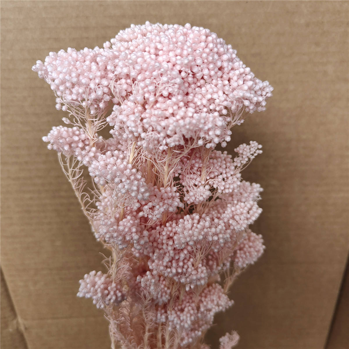 Color-Washed Light Pink