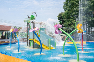 Sichuan Xinjin-Whale Spirit Magic, Fase 2 del mundo feliz, diseñada y fabricada por CMWaterparks Water Park - Product Image 5