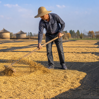 Tapis de séchage du riz pour la récolte agricole, en filet noir tissé, pour étaler les grains, garde les surfaces propres, séchage rapide au soleil, réutilisable