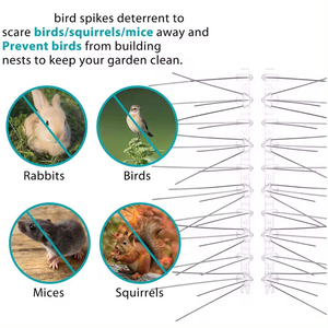Pointes <span class=keywords><strong>anti</strong></span>-oiseaux multi-usages en acier avec base en plastique, vente en gros d'usine - Product Image 5