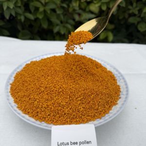 Polen de Abeja XINGBO Lotus, Polen de Abeja de Alta Calidad, Polen de Abeja Orgánico en Oferta, Polen de Abeja al por Mayor - Product Image 2