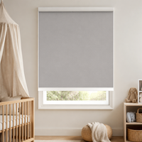 Stores à enroulement contemporains personnalisables en tissu, couleur sur mesure, sans cordon, filtrant la lumière du jour et offrant une protection UV pour baies vitrées