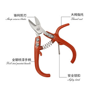 Nice <b>Pruning</b> Shears Stainless Steel 24cm Straight Head Garden <b>Tree</b> Trimming <b>Tool</b> - Product Image 1