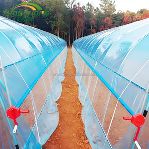 Invernadero Agrícola Tipo Túnel de Techo Único de Bajo Costo, Película de PE, Tamaño Pequeño, Mejor Precio del Fabricante Chino, para Cultivo de Tomates y Vegetales - Product Image 6