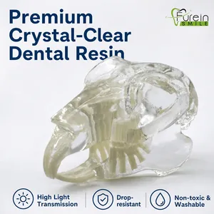 Modelo de Dientes de Conejo para Odontología, Modelo de Estudio de Ortodoncia con Dientes Removibles, Herramienta de Demostración para Entrenamiento Veterinario en Odontología - Product Image 3
