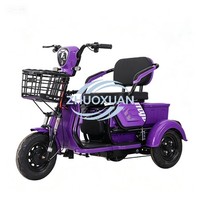 Quadricycle électrique confortable pour adultes, carrosserie ouverte, utilisation cargo, 2 passagers, trajets courts, vélo électrique