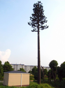 برج اتصالات شجرة مموهة أحادي الصاري-برج خلية صناعية للاتصال بالإشارات المتنقلة 4G 5G - Product Image 2