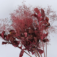 Bunga Kering Warna Merah Anggur Amaranthus Gypsophila Anna Hydrangea Buket Besar untuk Dekorasi Pusat Meja Acara  Grosir