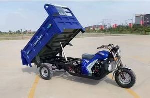 Triciclo de motocicleta de carga alimentado por combustible de gasolina de 3 ruedas de 300CC con cubo basculante para uso de adultos y transporte de carga - Product Image 3