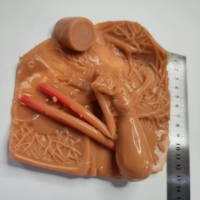 Modèle d'entraînement de la vésicule biliaire humaine KyrenMed modèle de pratique de chirurgie hépatologique en silicone simulateur d'entraînement laparoscopique