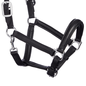 Fabricantes Profesionales, Venta al por Mayor de Cabestros para Caballos de Alta Calidad a Precios Bajos, Cabestros Ajustables para Caballos para Uso en Exteriores - Product Image 6
