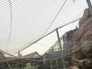 Clôture de jardin écologique de 1.5m treillis de câble métallique de 6 pieds 2 panneaux/filet de câble en maille de carton barrière d'eau en acier inoxydable - Product Image 4