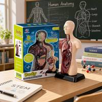 Modelo de Torso Anatómico Humano de 8 Piezas para Niños, 24.5 cm, Órganos Desmontables, Kit de Ensamblaje 3D, Juguete Educativo STEM, Regalo Científico