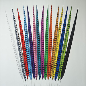 <span class=keywords><strong>Plume</strong></span> de fausse <span class=keywords><strong>plume</strong></span> de faisan de 100 cm, multicolore, vente en gros d'usine, pour décoration de costumes de carnaval de Samba - Product Image 1