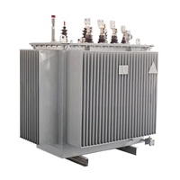 Transformateur triphasé immergé dans l'huile 10kV 100kVA 200kVA 250kVA 400V 50/60Hz Économe en énergie Entièrement étanche Bobinage en cuivre IP54 CE