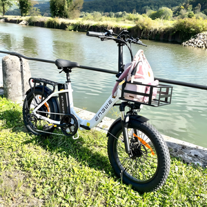 Vélo électrique pliable L20 SE 20 pouces 36V 15.6Ah Longue portée 115KM Vélo électrique de ville avec panier et suspension - Product Image 1