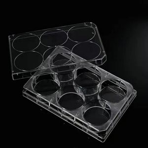 Contenedor de Almacenamiento Transparente de Alta Calidad, 6 Piezas, CPET, Procesado con Blister, para Empacar Pasteles, Tartas de Huevo y Bocadillos - Product Image 2