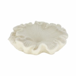 Quartz Resin Shell Decorative Bowl Modern Centerpiece Table Decor Bookshelf Styling - Product Image 1