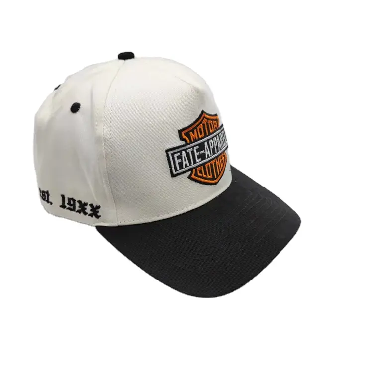 Casquette de baseball à logo personnalisé en coton, 5 panneaux brodés, chapeau de sport, pour papa,