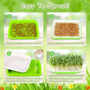 Bandeja de germinación X80 para brotes de judías, plántulas de trigo, hierba para gatos, cultivo hidropónico sin suelo - Product Image 6