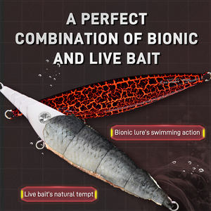 Ecooda Appât Bionique Mérou Corps Aplati sur le Côté 4 Pièces Clous en Acier Inoxydable Oeil 3D - Product Image 4