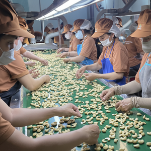 ลดราคาพิเศษ 2025 เม็ดมะม่วงหิมพานต์คุณภาพสูง W320 เม็ดมะม่วงหิมพานต์ดิบจากเวียดนาม พร้อมส่ง ซานติโก อายุการเก็บรักษา 24 เดือน - Product Image 1