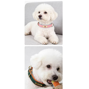 Luxury Classic Soft <b>Padded</b> Leather Dog Collar with Custom Name Engraved Breakaway Anti-Lost Design for Small/Medium Breeds - Product Image 3
