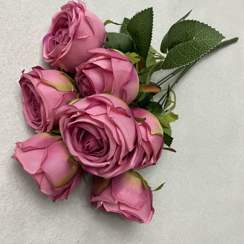 7 rose