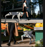 Robot chien quadrupède DeepRobotics Jueying Lite3, SDK ouvert, programmable, IA, bionique, éducation STEM, recherche, industriel, intelligent