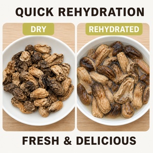 <span class=keywords><strong>Champignons</strong></span> de Saint-Jacques séchés de qualité supérieure, tranchés, en vrac, naturels, Pleurotus <span class=keywords><strong>Eryngii</strong></span> Eri, pour soupes et cuisine végétalienne - Product Image 4