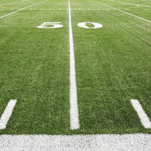Gazon artificiel de football sélectionné, promotion à durée limitée, personnalisé professionnellement - Product Image 2