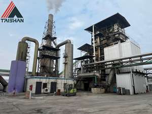 Hoge Output Nieuw Verticaal Ontwerp Biomassa Energiecentrale Ketel Opwekken Elektriciteit Stoom Met Brandstof Pellet Kolen Voor Krachtcentrale - Product Image 2