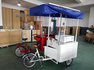 Icecream-Bicicleta eléctrica de uso comercial con congelador, helados alimentados por energía Solar, carrito de helado - Product Image 6