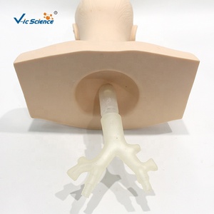 Model Kepala Manekin untuk Pelatihan Hisap, Simulator Manekin untuk Pelatihan Medis - Product Image 4