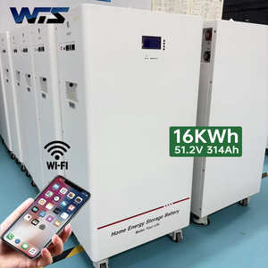 Floor Standing <b>Battery</b> Lithium 51.2V 314h 16kWh With WIFI Remote Control for Powerwall Home Energy Storage - Product Image 3