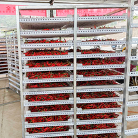 Hete Verkoop Droger Voor Fruit En Groenten Industriële Fruit Droogmachine Uitdroging Machine Fruit Droogmachine