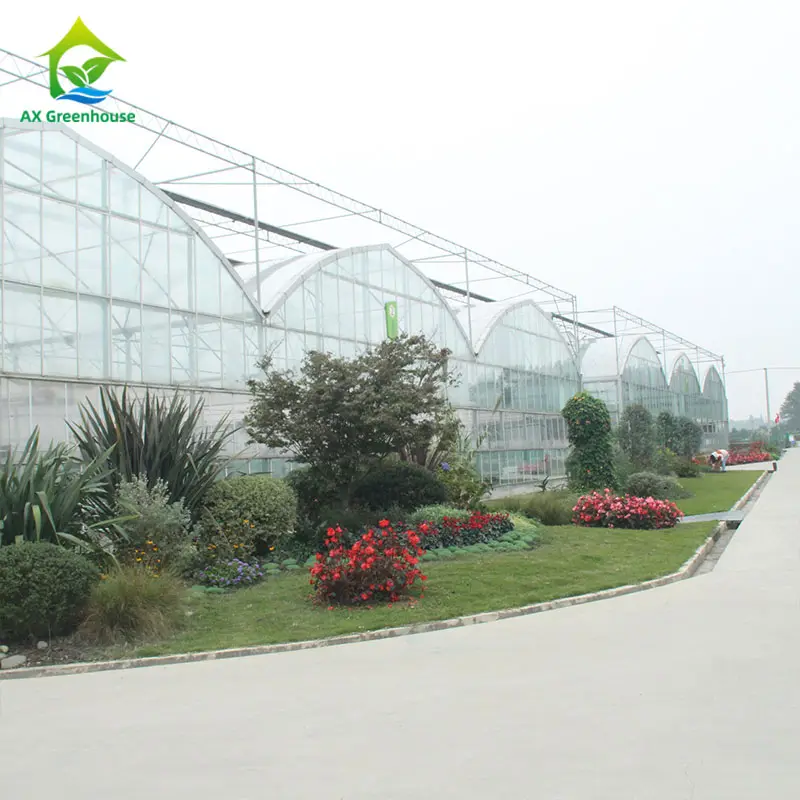 Invernadero de vidrio grande para agricultura, usado para siembra de verduras y cultivo de flores