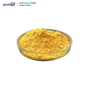 Wholesale Bulk Vegen Chlorella Pyrenoidosa Powder Best Price