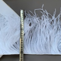 Plumes d'autruche teintées et lavées, directement de l'usine, pour robes de haute couture, garnitures en dentelle, accessoires vestimentaires et tenues de danse de performance