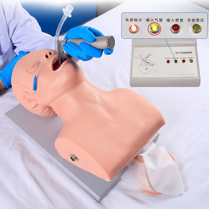 Modelo de Treinamento Médico para Intubação Traqueal em Adultos, Modelo de Ensino Médico para Primeiros Socorros - Product Image 4