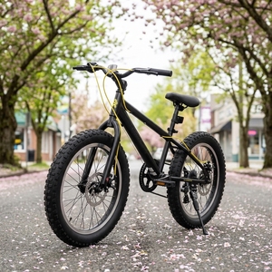 Vélo pour enfants de 20 pouces, adapté à la plage, à la neige, aux terrains accidentés, pour la conduite en forêt, avec freins à disque avant et arrière Sensi - Product Image 2