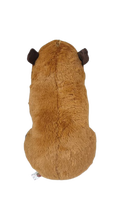 Adorable peluche capybara réaliste, jouet en peluche câlin, super doux, en coton PP lavé, anti-stress, unisexe, pour enfants, anniversaire