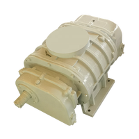 Soplador Roots de hierro fundido para CA, compresor de vapor, bomba de vacío OEM, bajo costo, alta eficiencia, precio de fábrica
