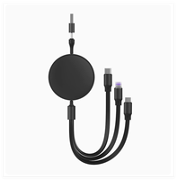 Câble de charge rapide rétractable USB vers Type C 100W 3 en 2, logo personnalisé, cadeau d'entreprise promotionnel haut de gamme, logo personnalisé