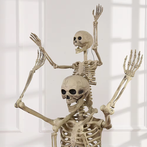 Achetez le squelette classique de 65 pouces grandeur nature de Spirit Halloween, accessoires animés et mobiles, décorations fantaisie pour Halloween - Product Image 5